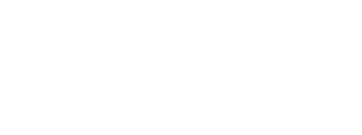 Rogue Rideshare